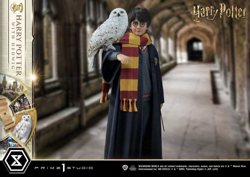 Harry Potter With Hedwig