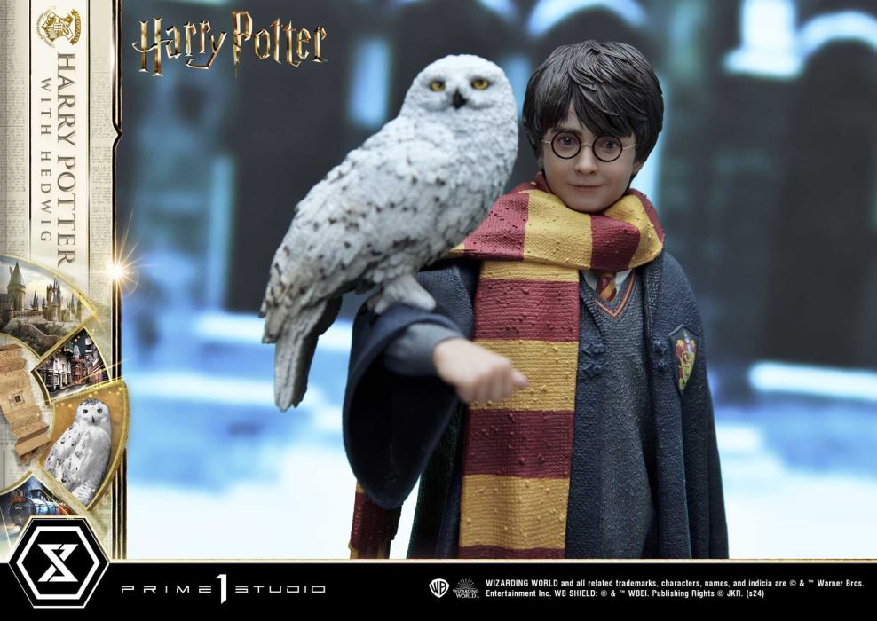 Harry Potter With Hedwig