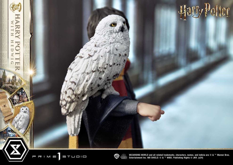 Harry Potter With Hedwig