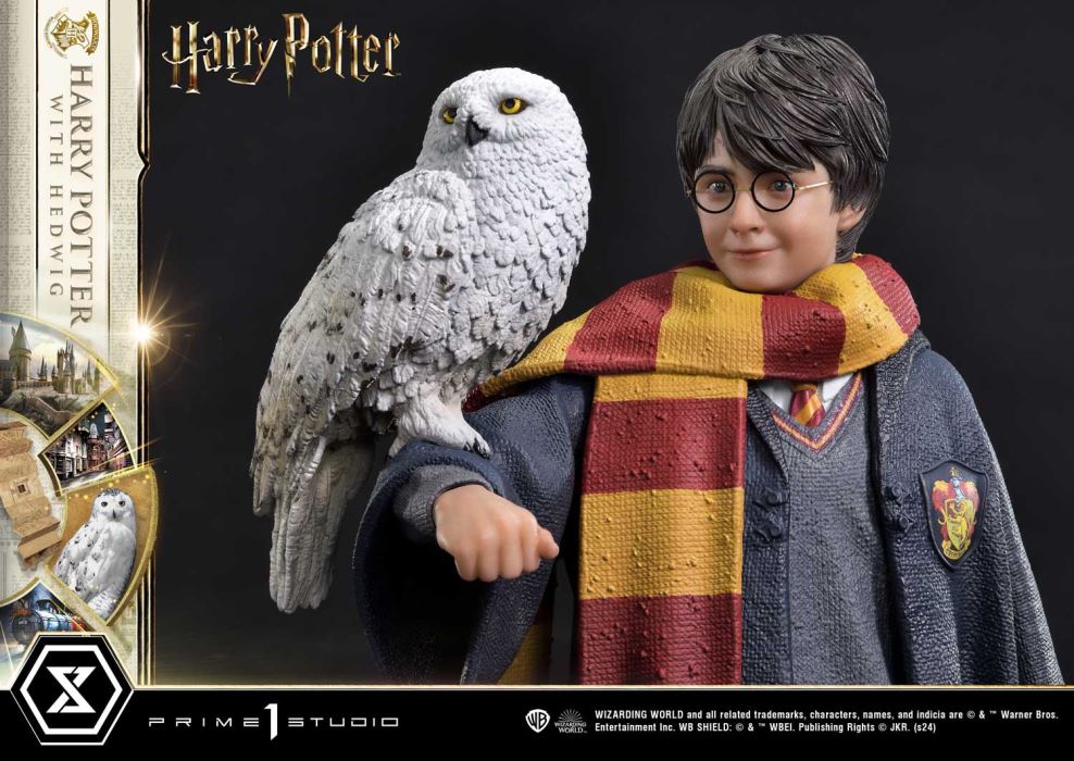 Harry Potter With Hedwig