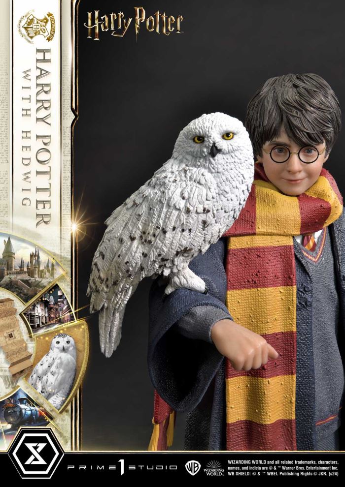Harry Potter With Hedwig
