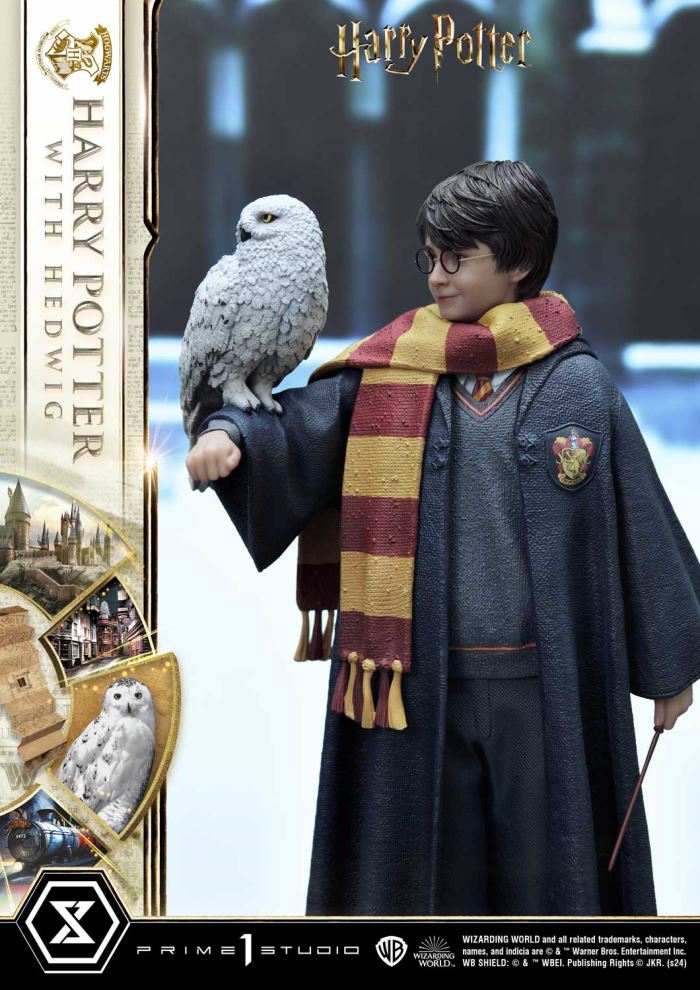 Harry Potter With Hedwig