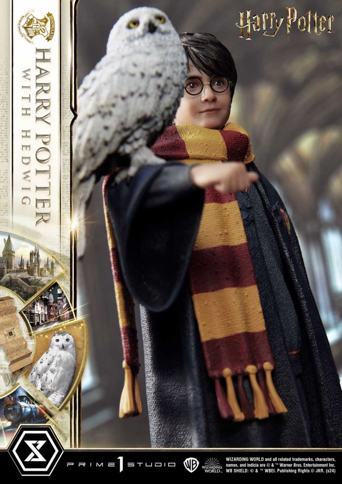 Harry Potter With Hedwig