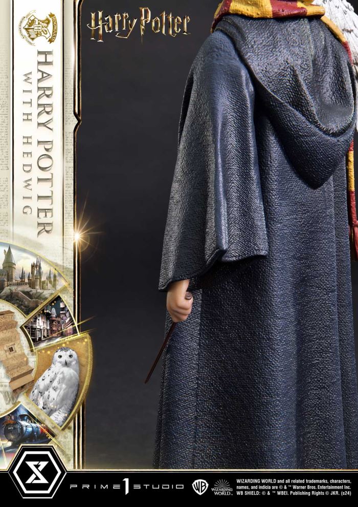 Harry Potter With Hedwig