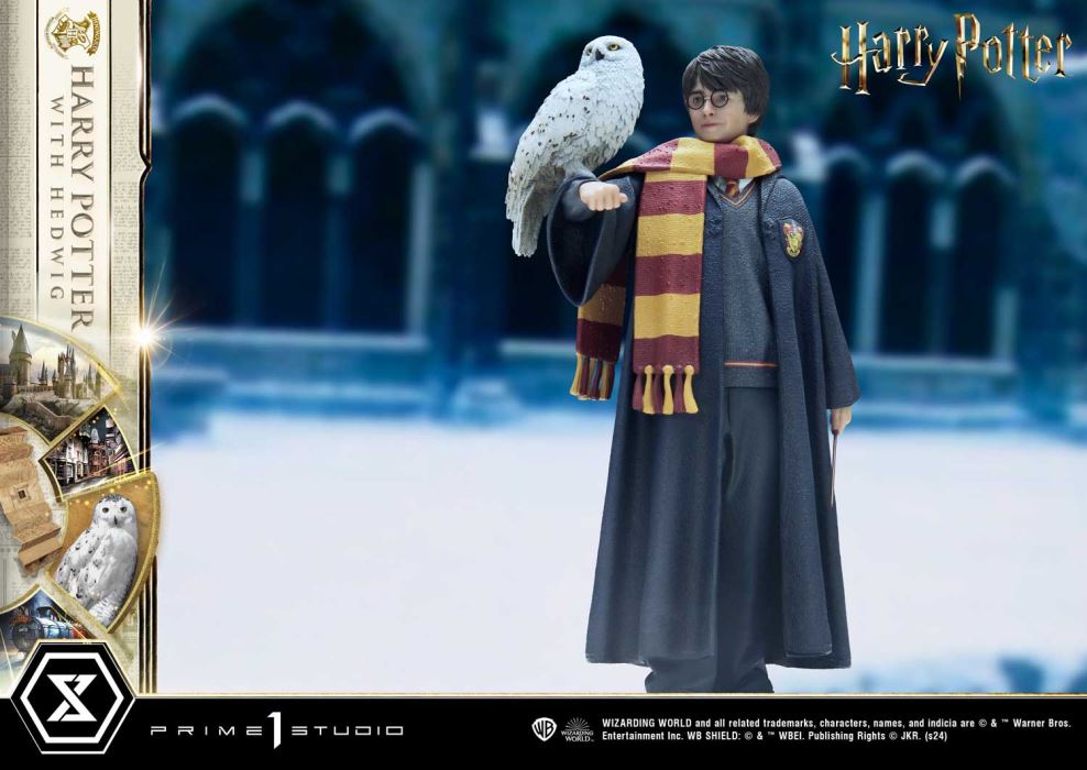 Harry Potter With Hedwig
