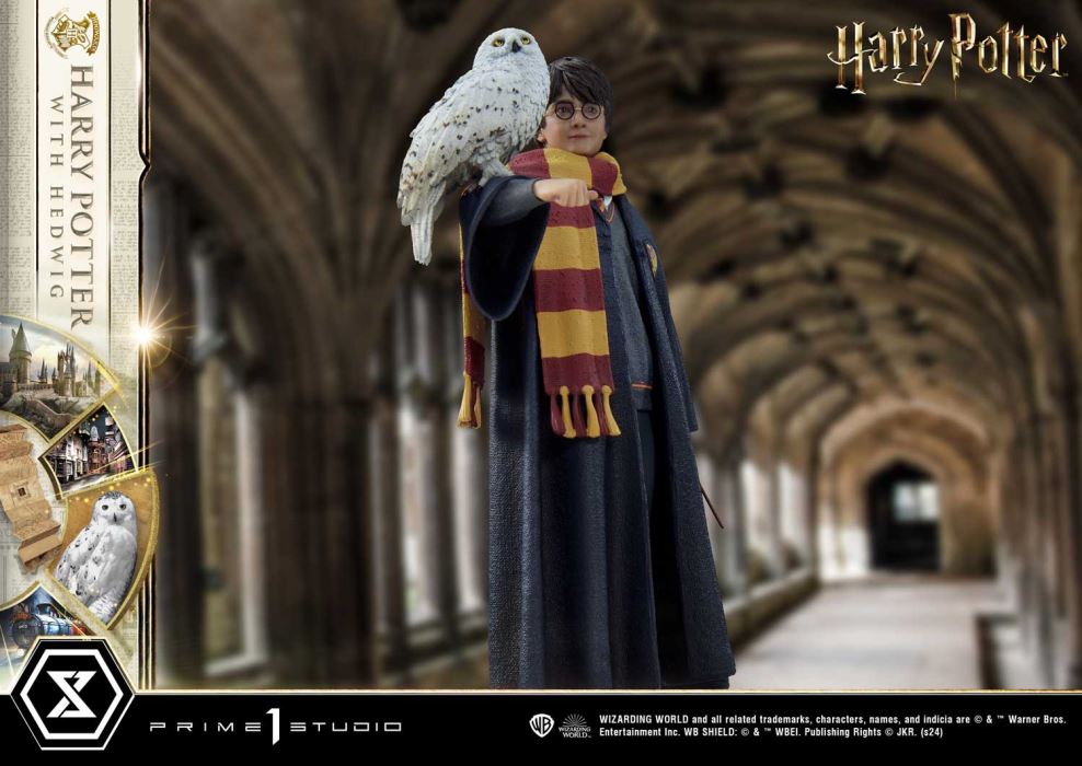 Harry Potter With Hedwig
