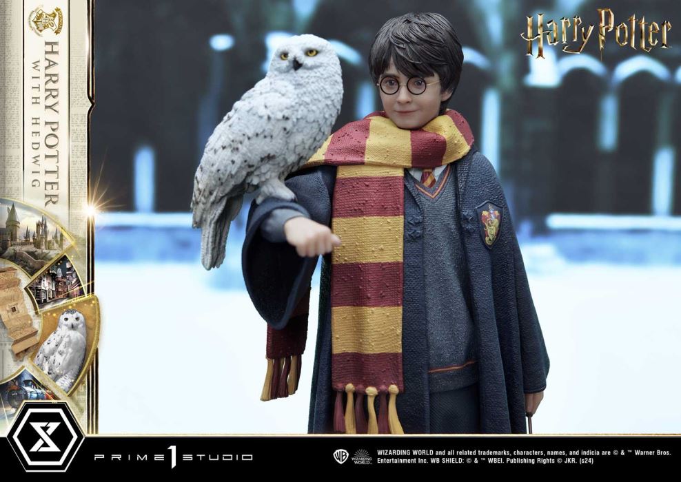 Harry Potter With Hedwig