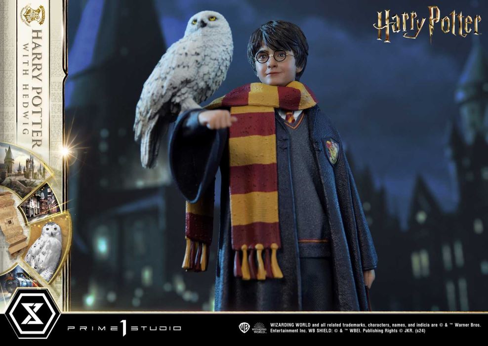 Harry Potter With Hedwig