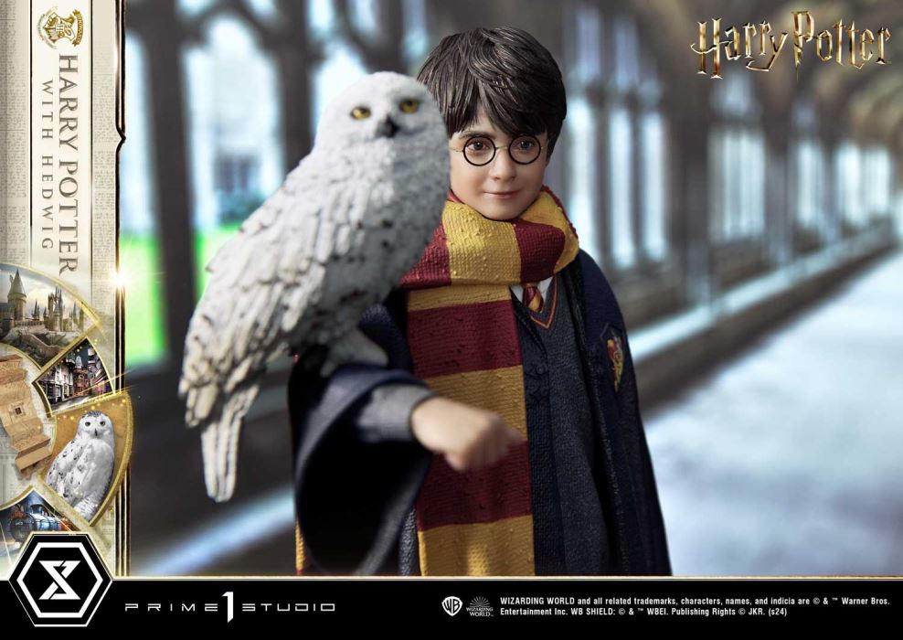 Harry Potter With Hedwig
