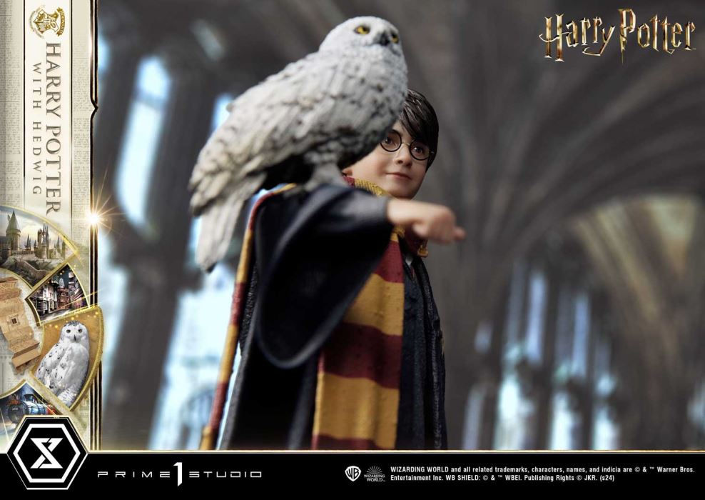 Harry Potter With Hedwig