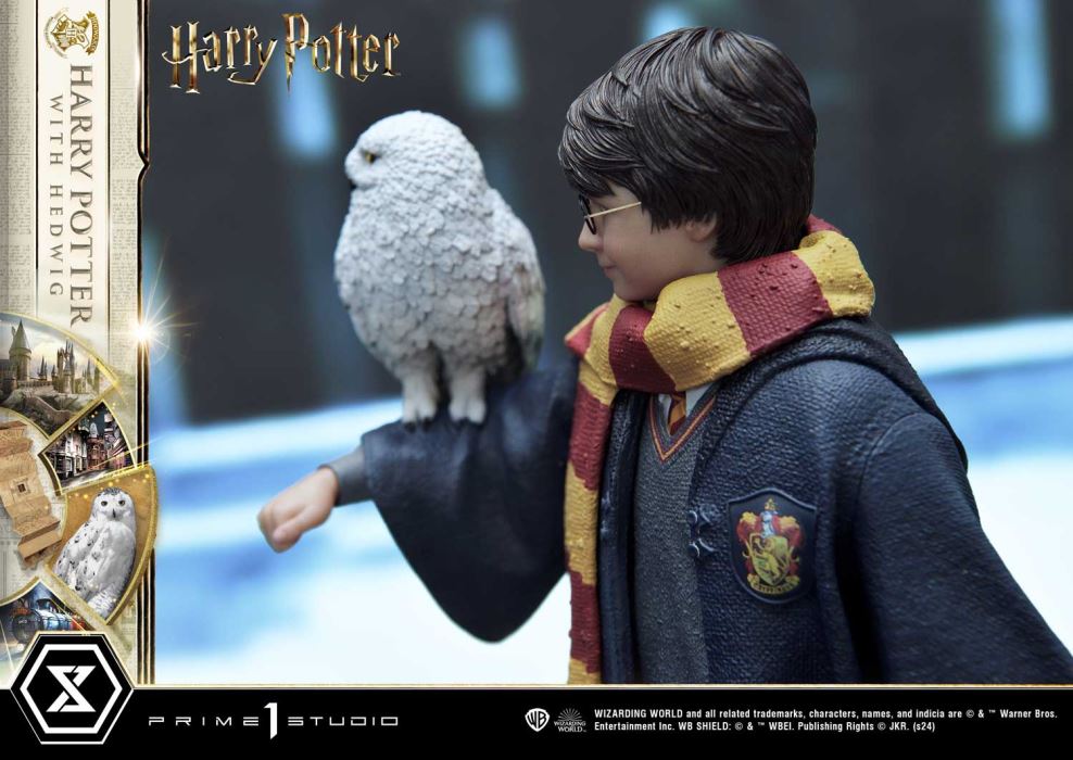 Harry Potter With Hedwig