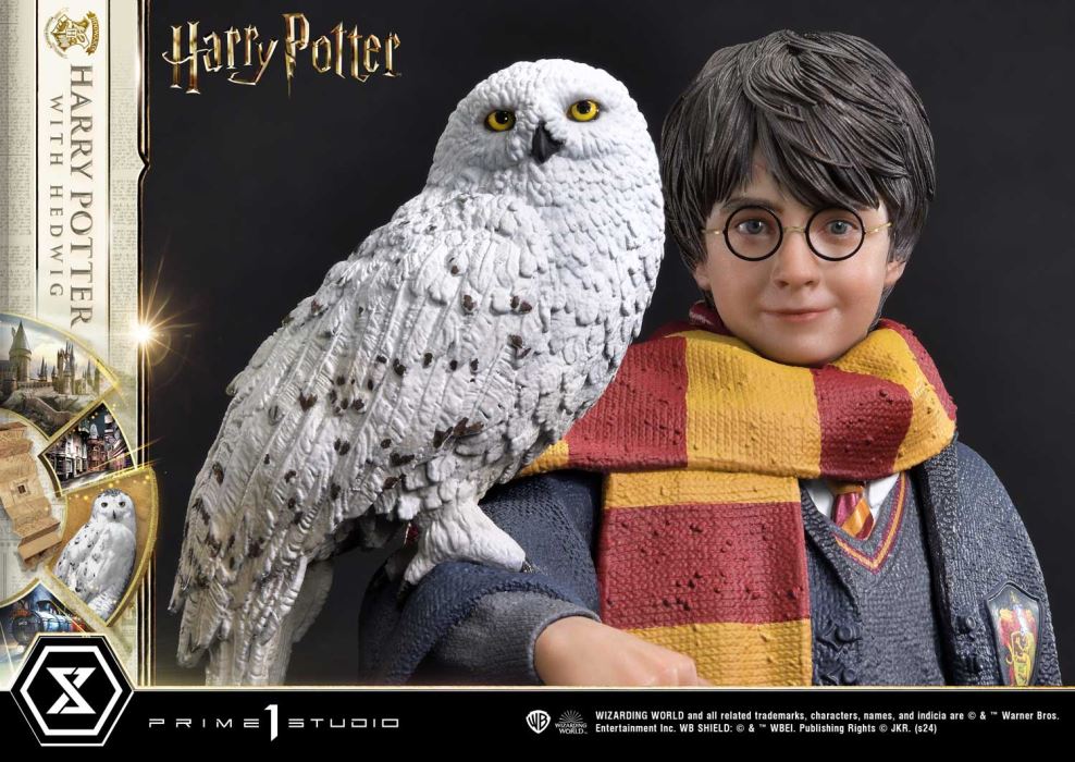 Harry Potter With Hedwig