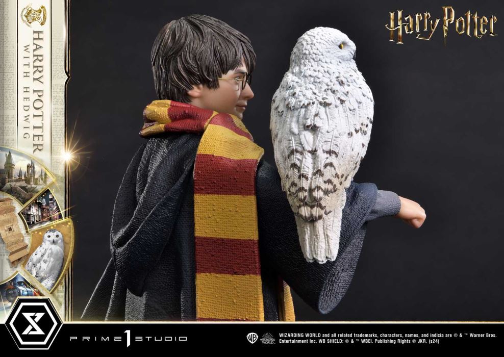 Harry Potter With Hedwig