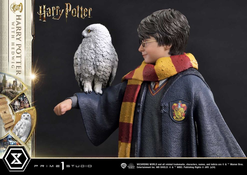 Harry Potter With Hedwig