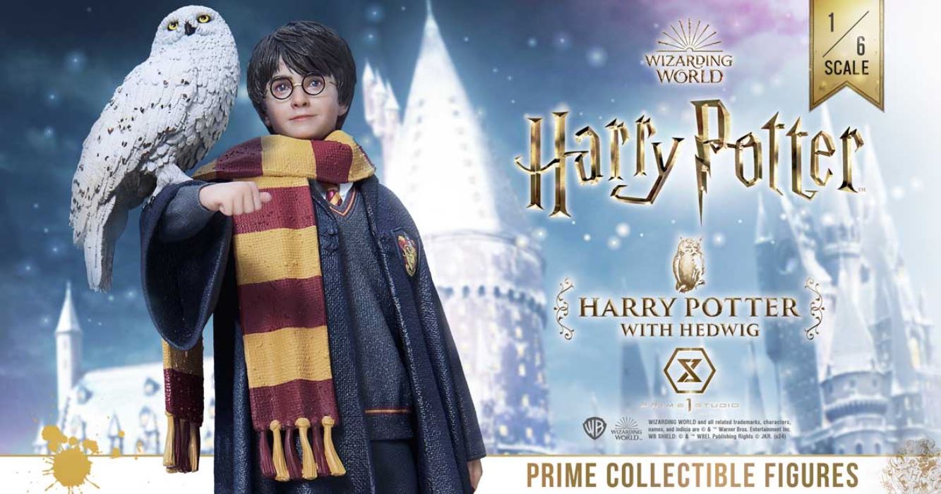 Harry Potter With Hedwig