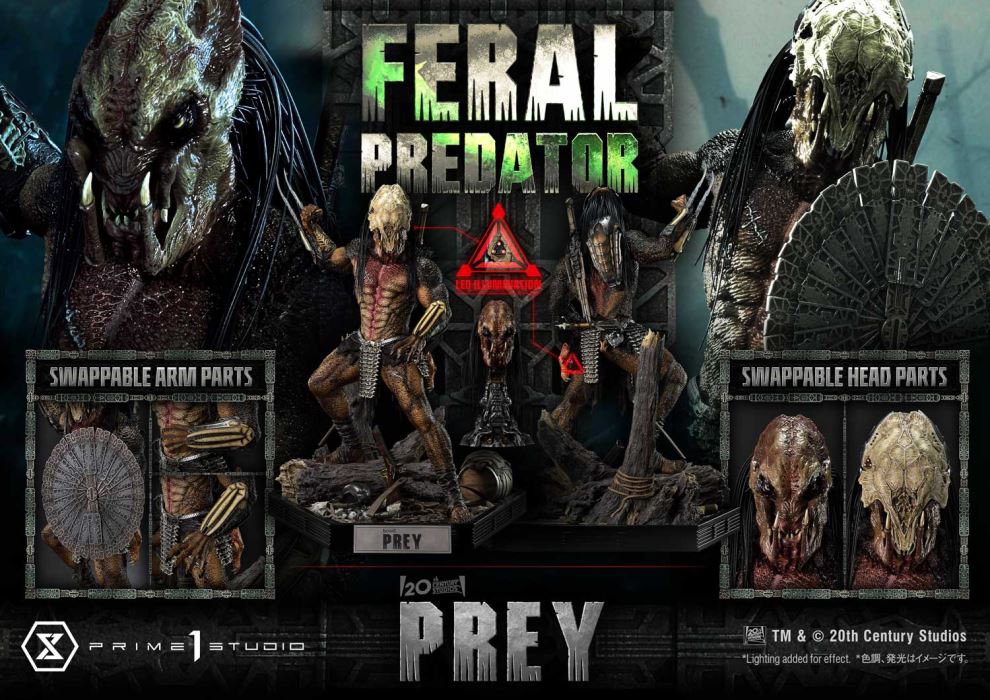 Prey Feral Predator