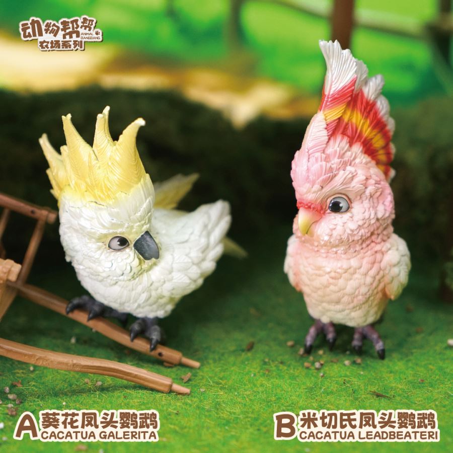 Original What bird? Series Sunflower Parrot & Mitchell Parrot