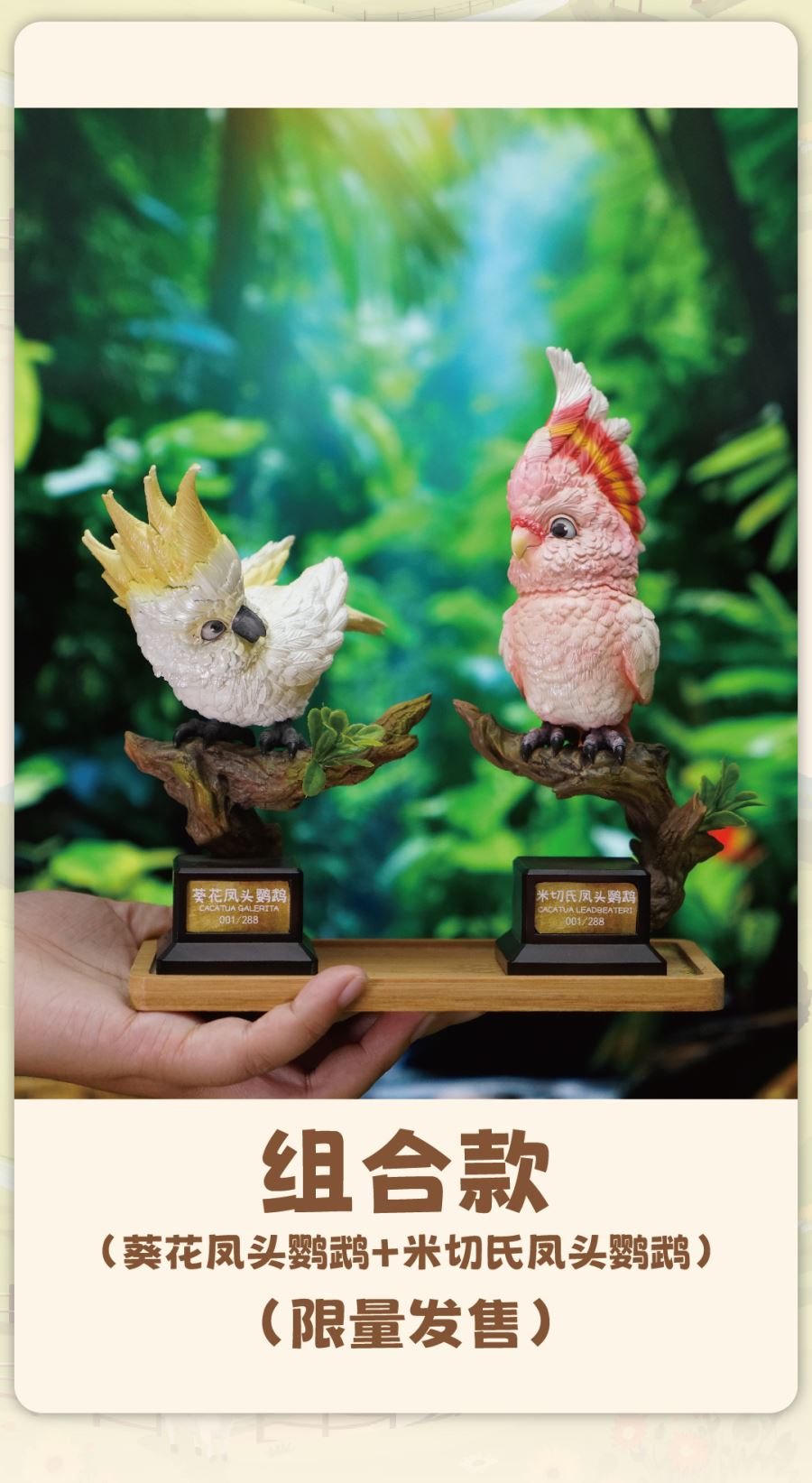 Original What bird? Series Sunflower Parrot & Mitchell Parrot