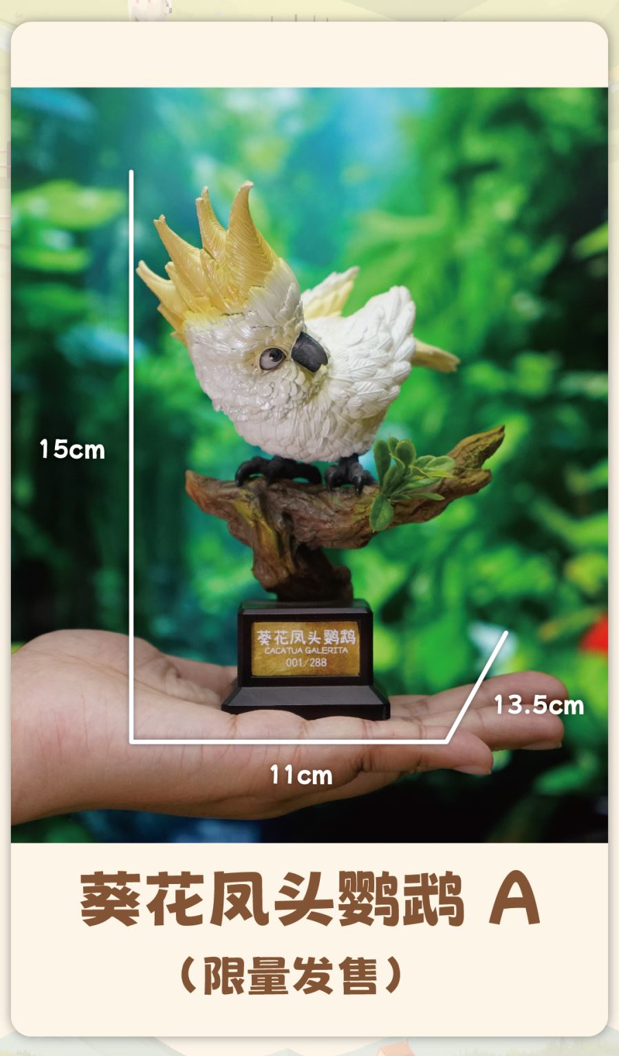 Original What bird? Series Sunflower Parrot & Mitchell Parrot