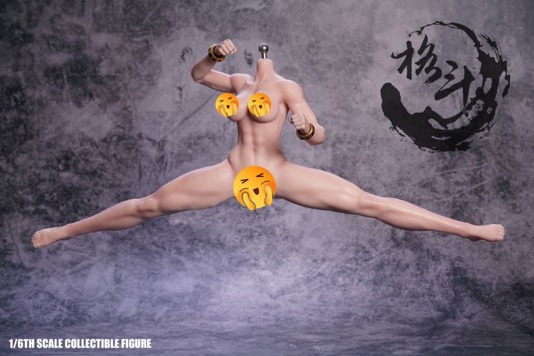 Fighting Goddess 6th Generation 1/6