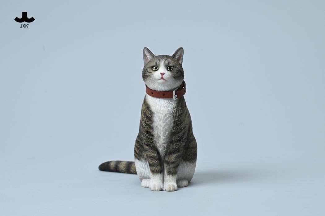 Chinese Garden Cat 1/6