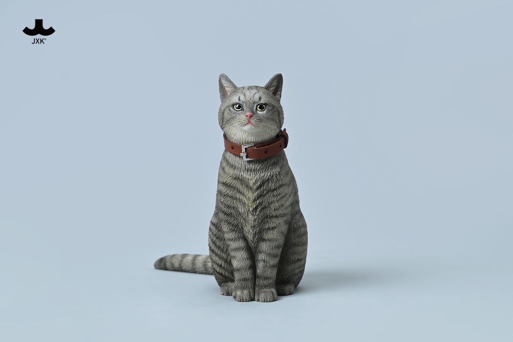 Chinese Garden Cat 1/6