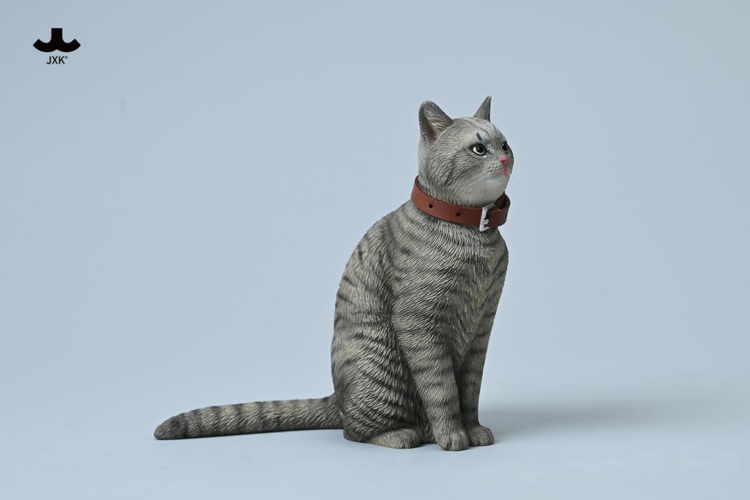 Chinese Garden Cat 1/6