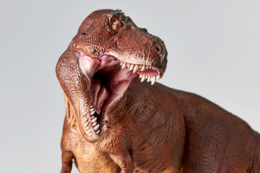 NATURE TALES Dinosaur King Tyrannosaurus Rex