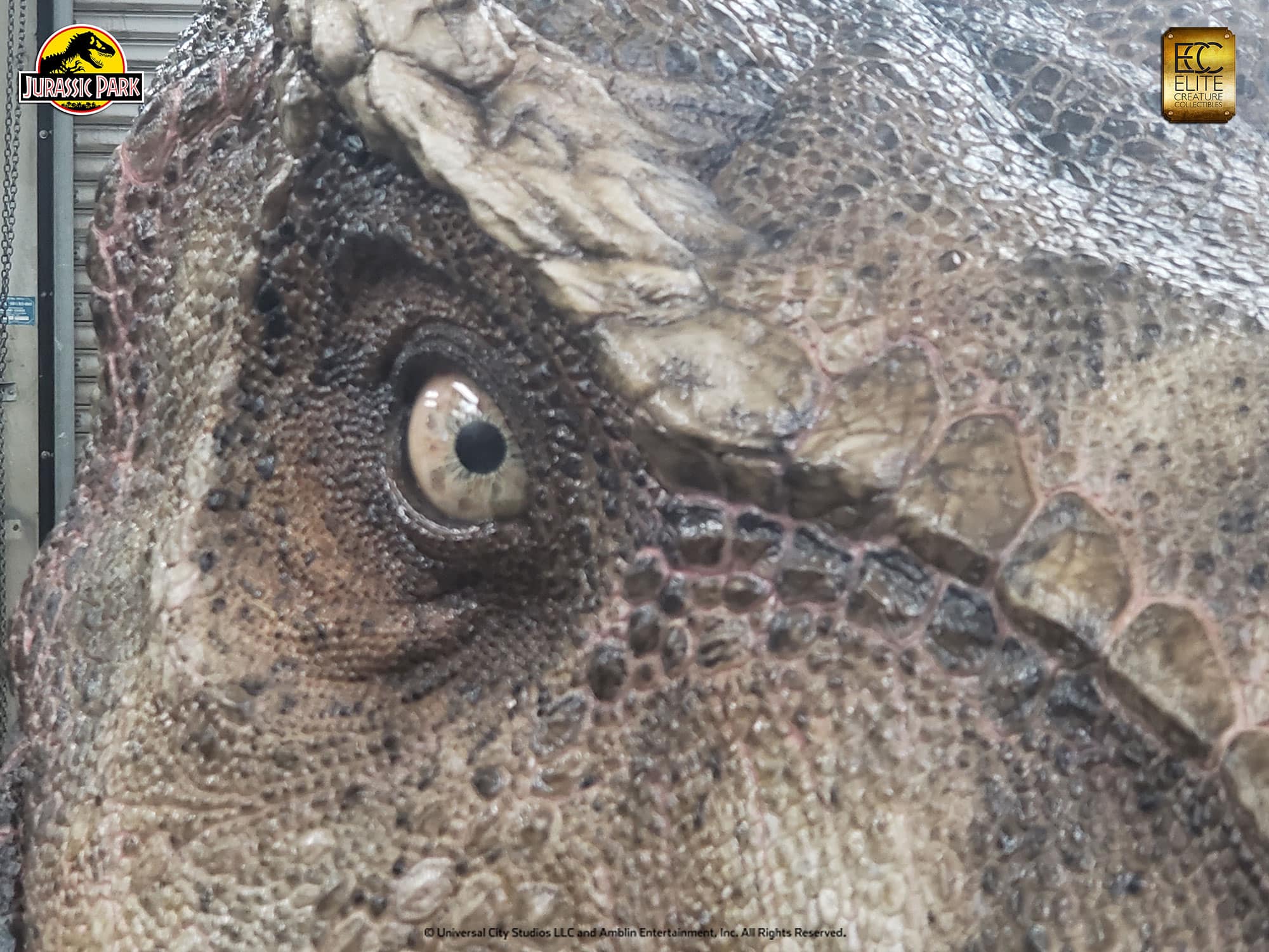 Tyrannosaurus rex Life-Size Head - Jurassic Park