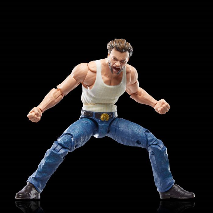 Marvel Legends Series Deadpool & Wolverine