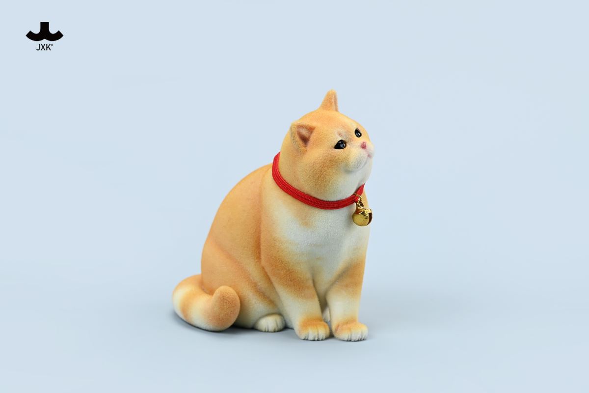 British shorthair cat 1/6