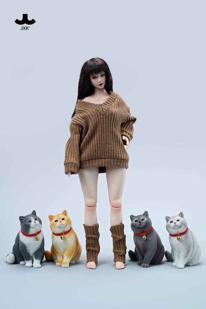 British shorthair cat 1/6