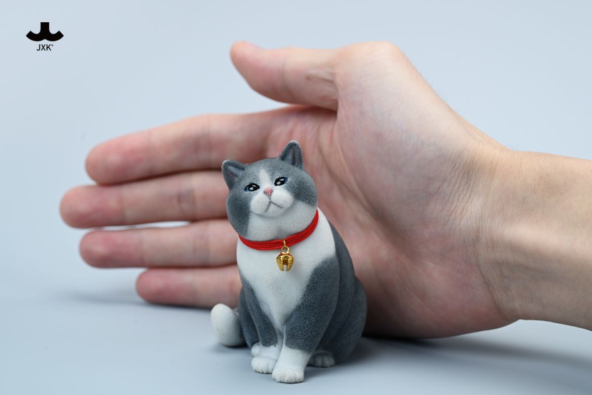 British shorthair cat 1/6