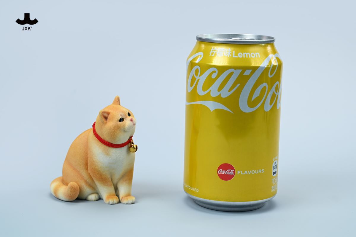 British shorthair cat 1/6