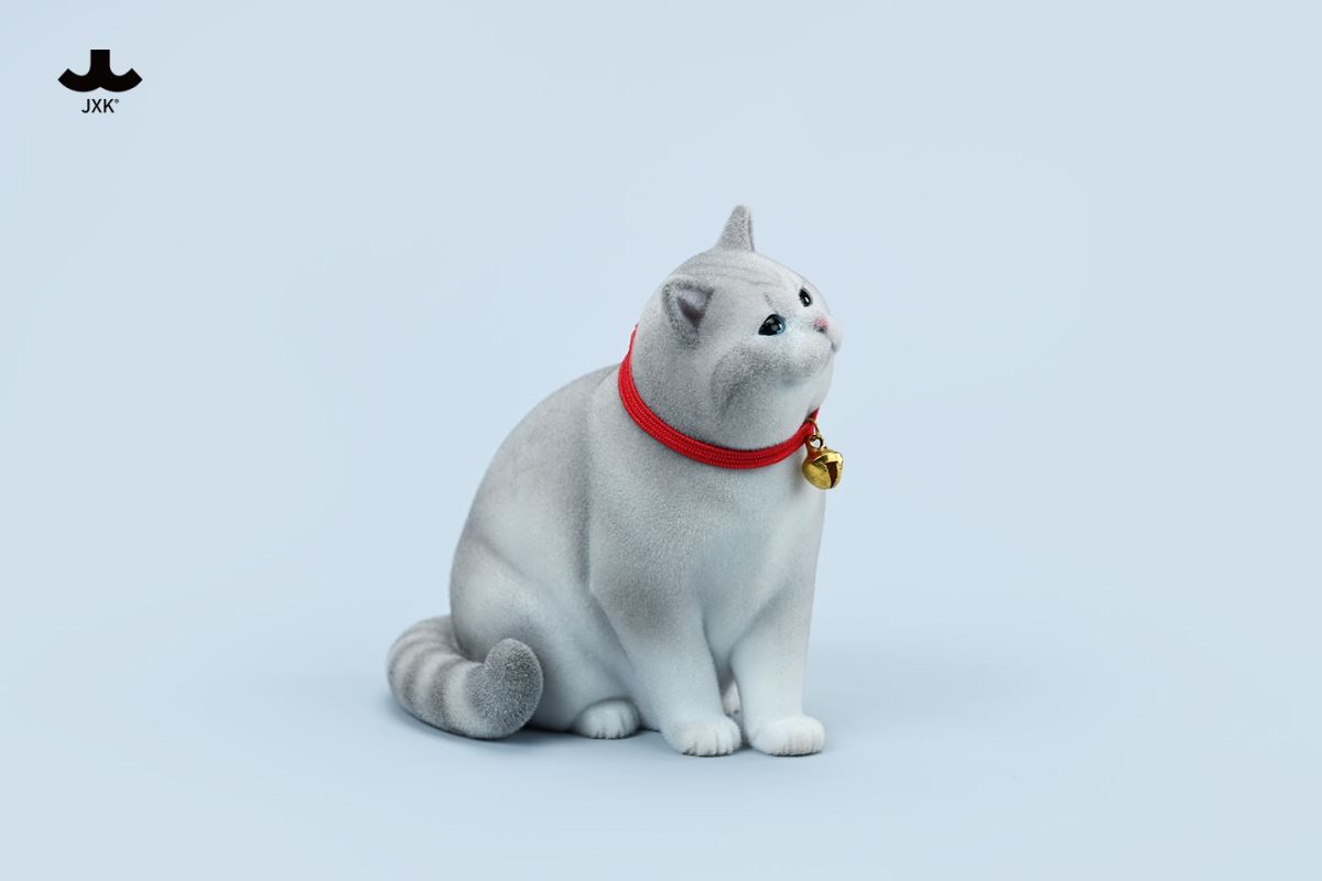 British shorthair cat 1/6
