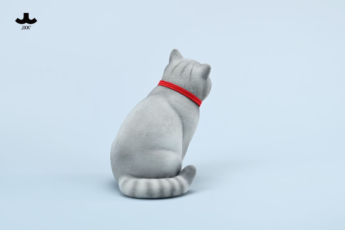 British shorthair cat 1/6