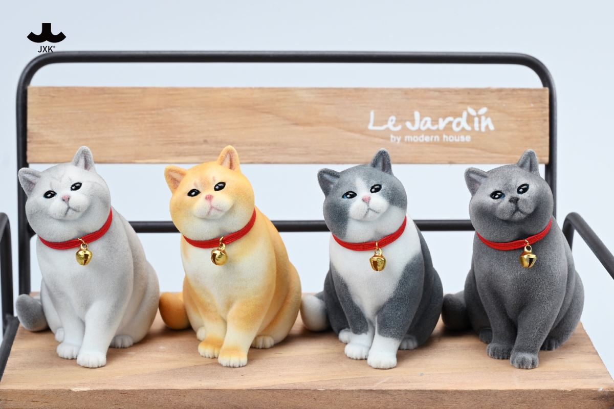 British shorthair cat 1/6