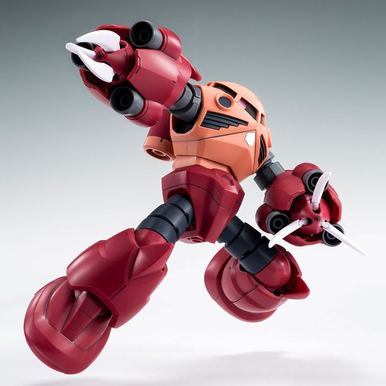 HG 1/144 AMAZING Z'GOK