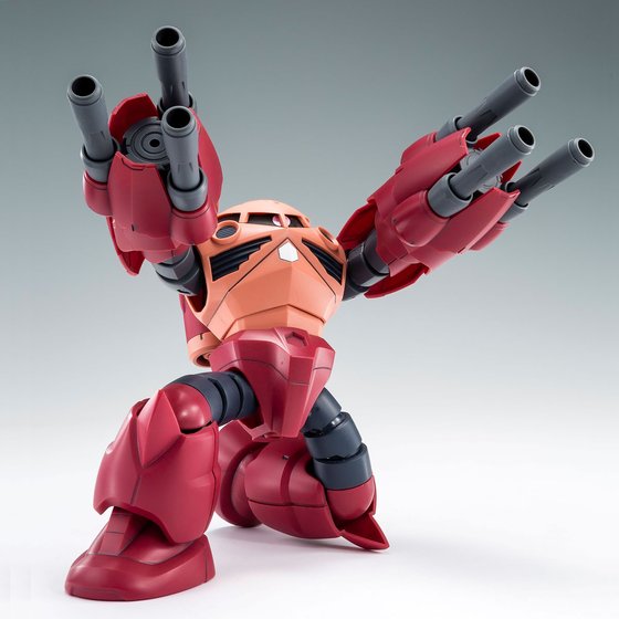 HG 1/144 AMAZING Z'GOK