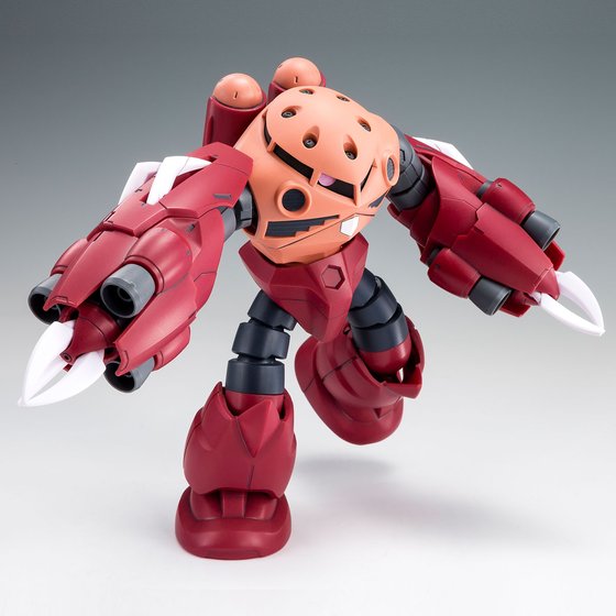 HG 1/144 AMAZING Z'GOK