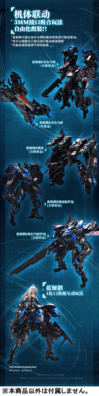 Bird/Binary Ficedula Plastic Model Kit