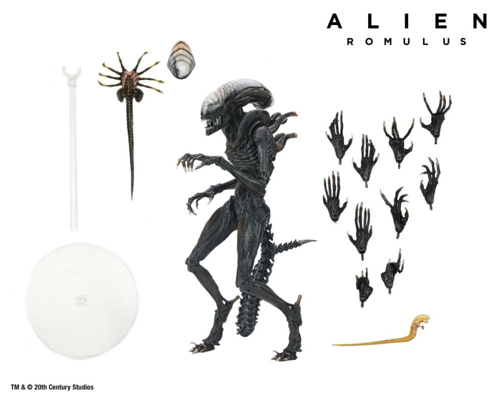 Alien: Romulus Ultimate Scorched Xenomorph