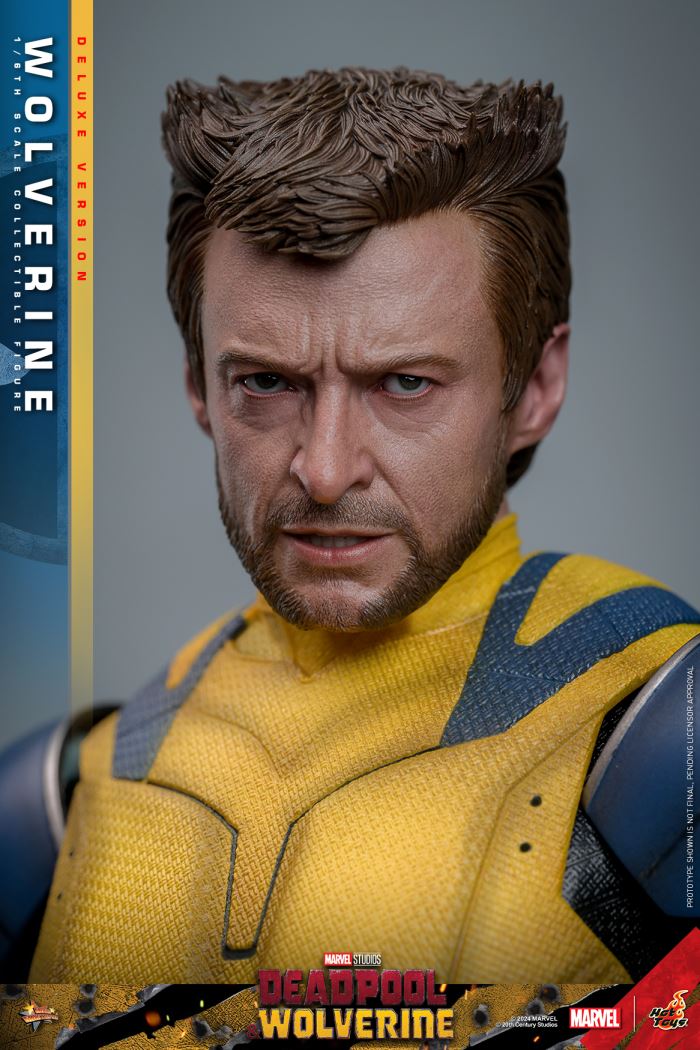 Wolverine 1/6