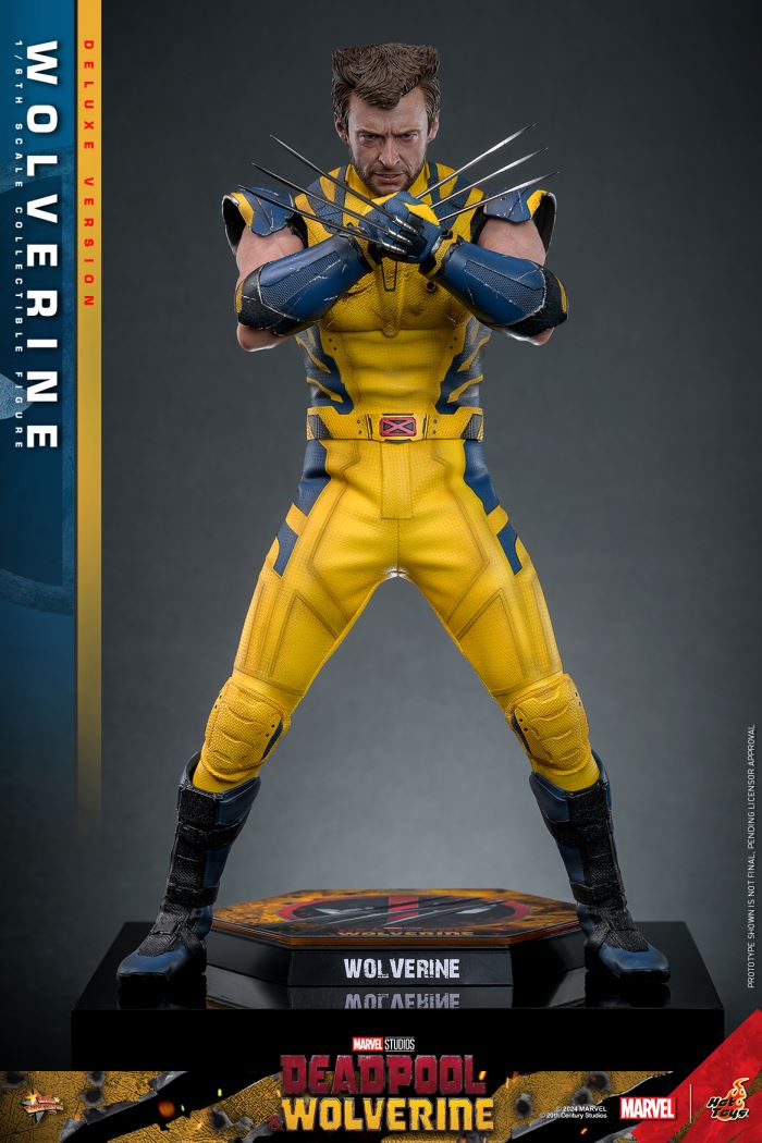 Wolverine 1/6