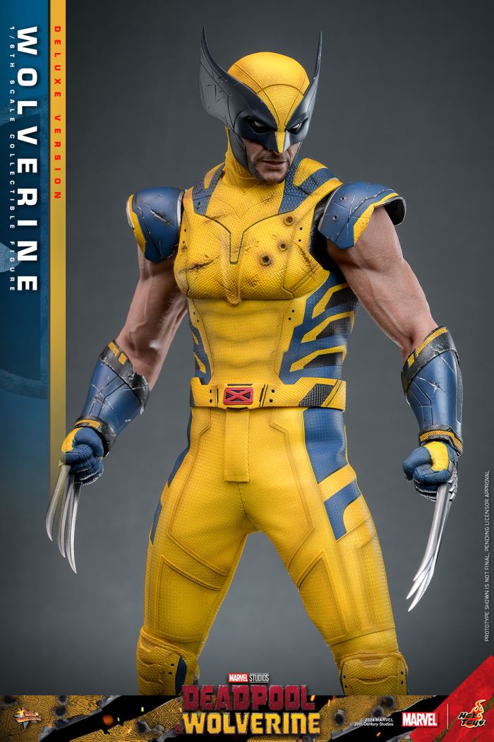Wolverine 1/6