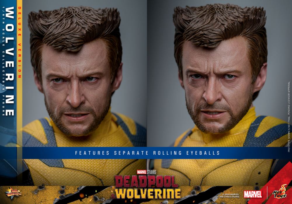 Wolverine 1/6