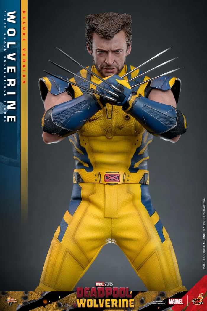 Wolverine 1/6