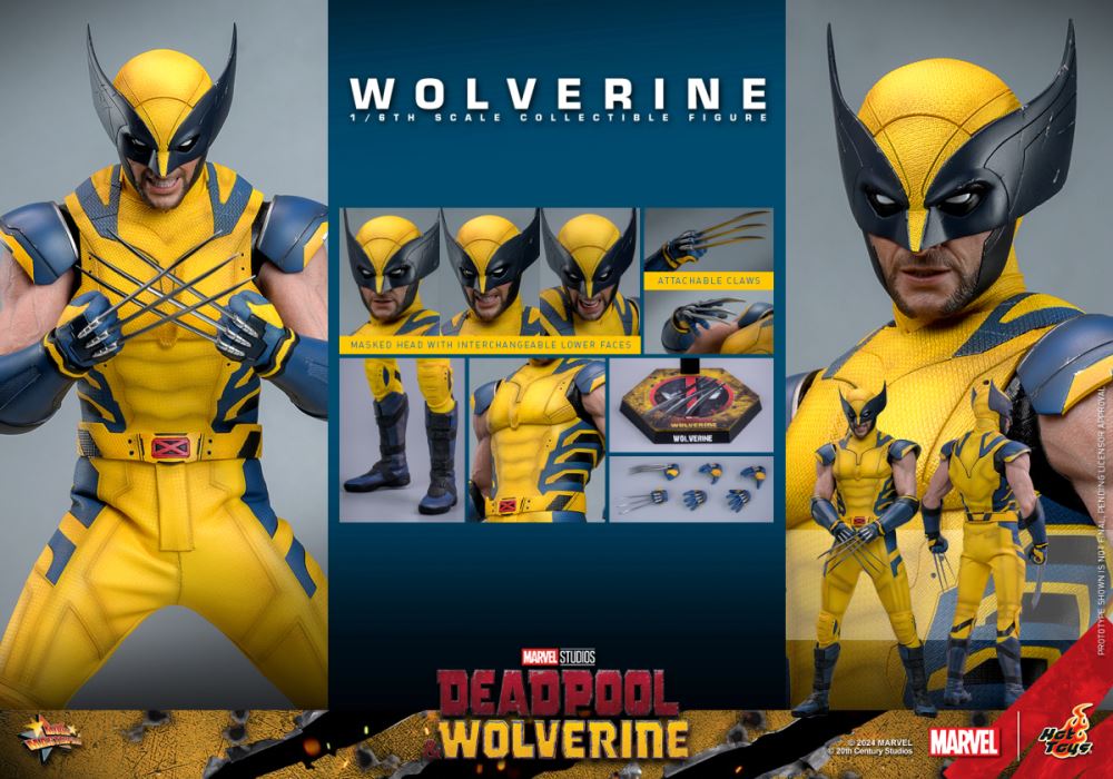Wolverine 1/6