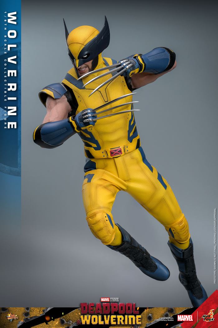 Wolverine 1/6