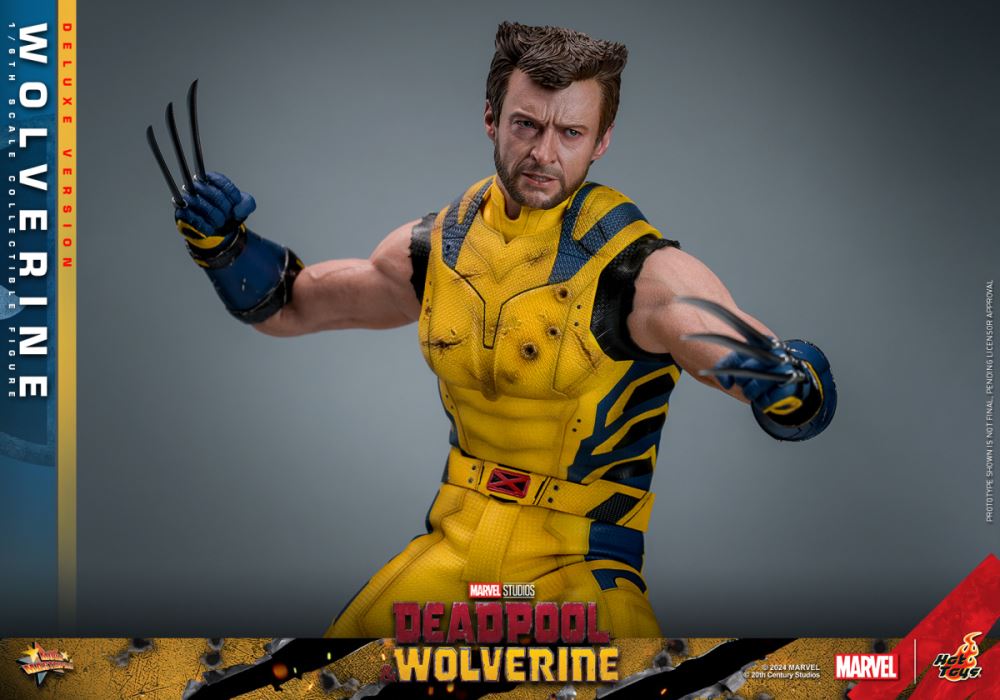 Wolverine 1/6